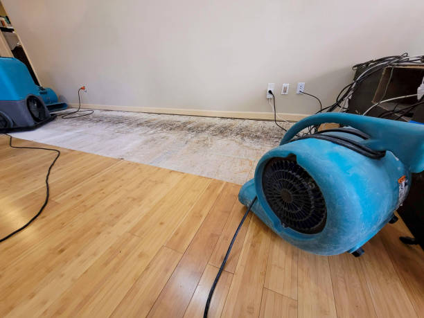 Professional Burst Pipe Water Damage technician working in Girard, OH